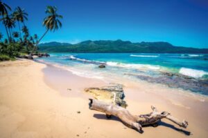 AdobeStock_72303077