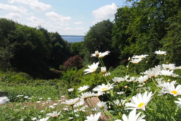 Sofiero in Helsingborg