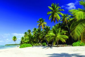 cruises to the us and caribbean