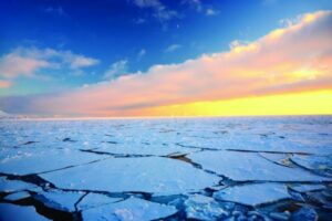 arctic