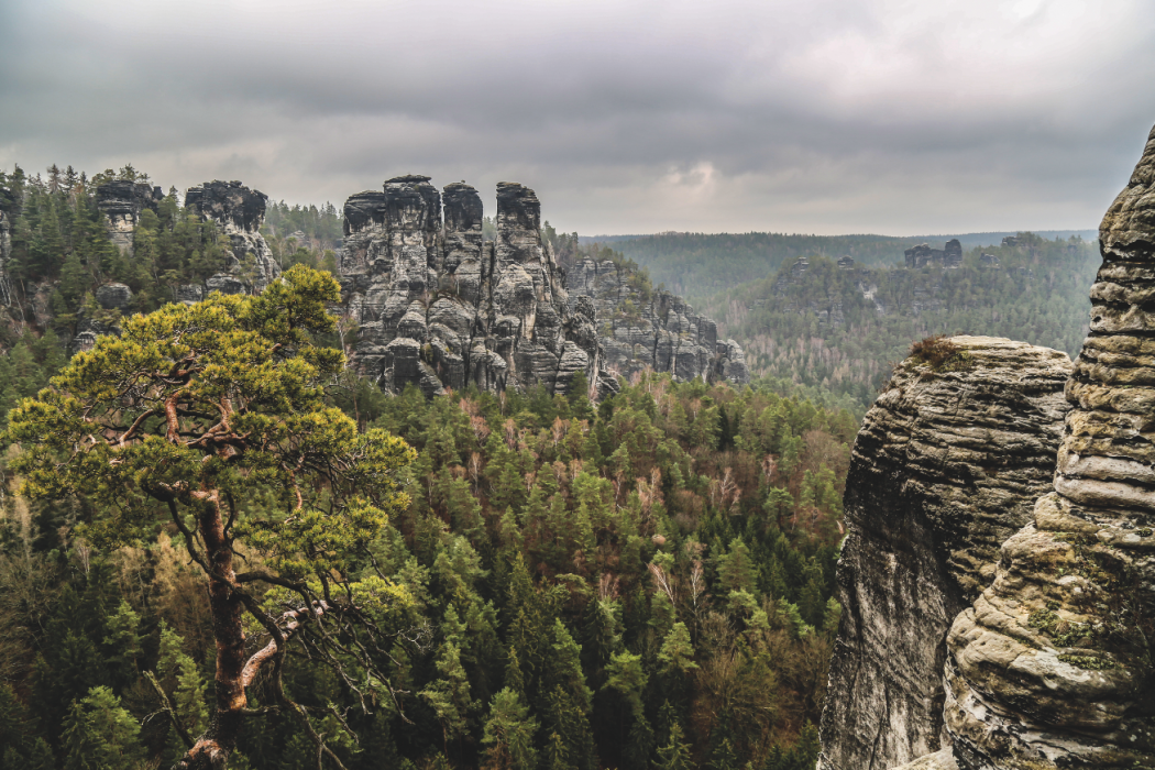 Screenshot 2019-06-04 at 15.40.46