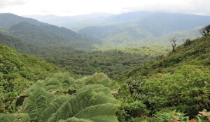 costa-rica-2400159