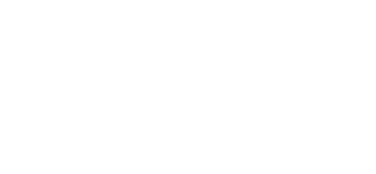 Cruise Adviser